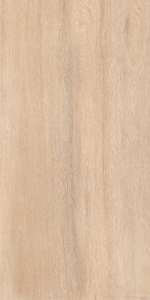  ������ Foresta Amazon Wood Beige 60x120 Matt