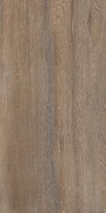  ������ Foresta Amazon Wood Natural 60x120 Matt