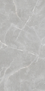  ������ Patricia Grey 60x120 Matt