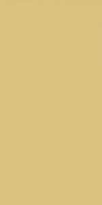  ������ StaroSlim Elite Lemoncello 60x120 5�� Matt