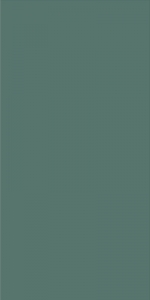  ������ StaroSlim Elite Maldives 60x120 5�� Matt