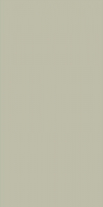  ������ StaroSlim Elite Mushroom 60x120 5�� Matt