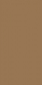  ������ StaroSlim Elite Ocre 60x120 5�� Matt