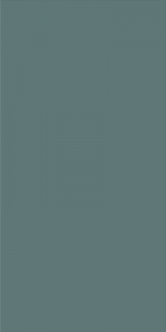  ������ StaroSlim Elite Turquoise 60x120 5�� Matt