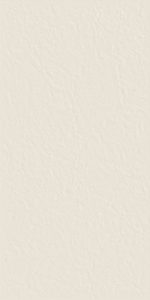  ������ StaroSlim Arte Ivory 60x120 5�� Matt Relief