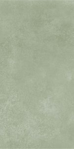 ������ StaroSlim Parkos Light Green 60x120 5 �� Matt