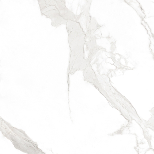  ���� ������������ PATAGONOA BIANCO REPOSE (MATT) 120x120