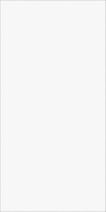  ���� ������������ MONO WHITE HONED 160x320x12