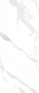  ���� ������������ PATAGONOA BIANCO GRACE (DIGITAL MATT) 120x280x6