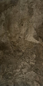  ������������ FOSSIL BROWN LAPPATO 60x120