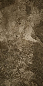  ������������ FOSSIL BROWN FULL LAPPATO 60x120