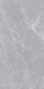  ������������ ASCOT GREY MATT 60x120