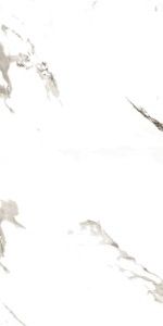  ������������ CARARRA POLISHED 60x120