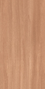  ������������ CINAR BROWN MATT 60x120