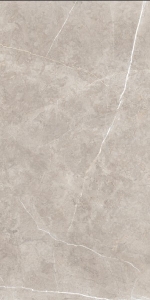  ������������ SWINDON MOCHA POLISHED 60x120