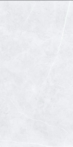  ������������ SWINDON GREY POLISHED 60x120