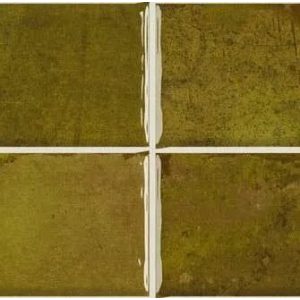  ������������ ������ VILAR ALBARO WB Nairobi noa moss 10x10