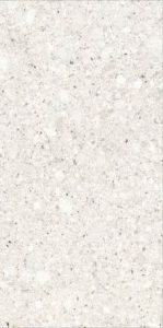  ������������ BIANCOROMANO �������� ����� ������� R10A 60X120 (K958027R)