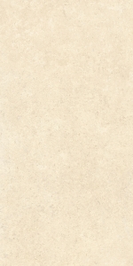  ������������ SANDSTONE �������� ������� 60X120 (K948598R)