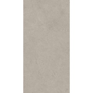  ������������ Boost Vision Grey 60x120