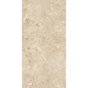  ������������ Nyra Ambrosia 60x120