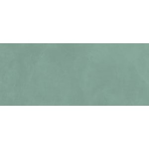  ������������ ������ ��� ���� Prism Moss 50x120