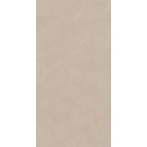  ������������ Boost Natural Ash 60x120