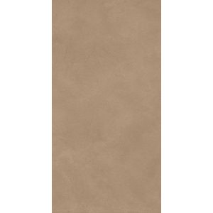  ������������ Boost Natural Coral 60x120