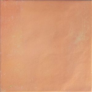  ������������ ��� ����� ������������ 18,5x18,5 (0,447)