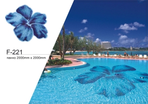  ��������� ����� F-221