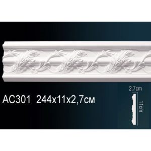  ������� �� ����������� ������� AC301 11x2.7x244