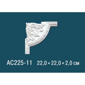  ������� ������� �� ����������� ������� AC225-11 22x2