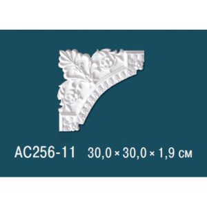  ������� ������� �� ����������� ������� AC256-11 30x1.9