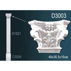  �������� �������� �� ����������� ������� D3003 49x16