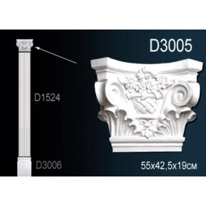  �������� �������� �� ����������� ������� D3005 55x19