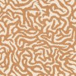 ������������ 41ZERO42 Nok Snake Terra 120x120