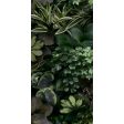������������ 41ZERO42 Paper41 Pro Jane C 50x100