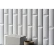 ������������ ������ ��� ���� 41ZERO42 Biscuit Peak Powder 5x20