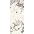 ������������ Basconi Home Rossana Star 6mm (BHK-4001) 120x300