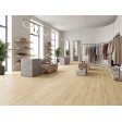  ������������ Basconi Home Quercia Light Grey (BHF-2016) 15x90