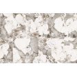  ������������ Ceramica Margarita Mat 60x120