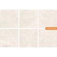  ������������ Prissmacer Gobi Bianco 60x60