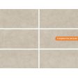  ������������ Prissmacer Gobi Bianco 60x120