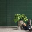 ������������ Dna Plinto Out Green Gloss 10,7x54,2
