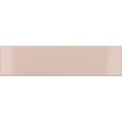 ������������ ������ Equipe Costa Nova Pink Stony 5x20