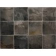 ������������ Equipe Hanoi Black Ash 10x10