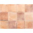 ������������ Equipe Hanoi Pink 10x10