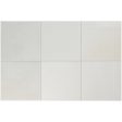 ������������ Equipe Hikari Almond 10x10