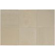 ������������ Equipe Hikari Fawn 10x10