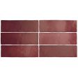 ������������ Equipe Magma Burgundy 6,5x20